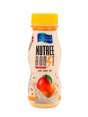 Nutree Boost Mango With Oats